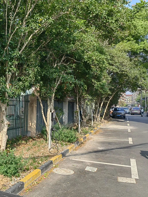 杨浦区延东小区